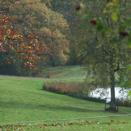 Woodlands Bed & Breakfast Barnt Green Εξωτερικό φωτογραφία